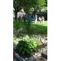 Foto3