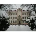Foto3