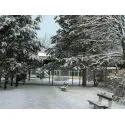 Foto2