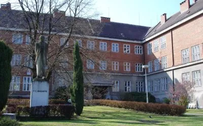 Foto1