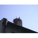Foto3