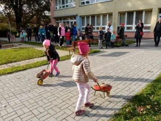 IMG_20211021_153145