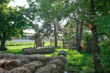 DSCF5635