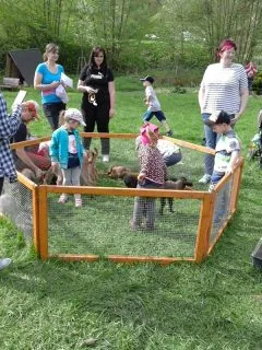 20180424_155048