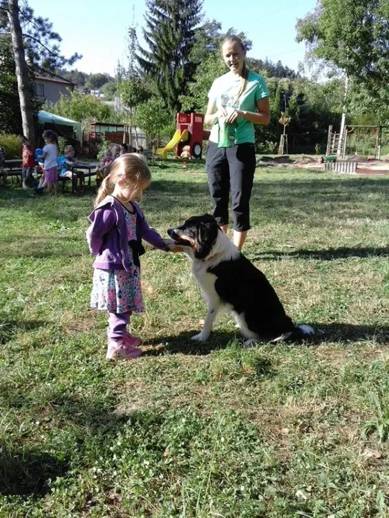 Tančící psi v&nbsp;MŠ U&nbsp;Koupaliště, Česká Třebová