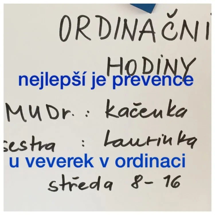 Jak bojujeme s&nbsp;chřipkou v&nbsp;MŠ Česká Třebová, U&nbsp;Koupaliště