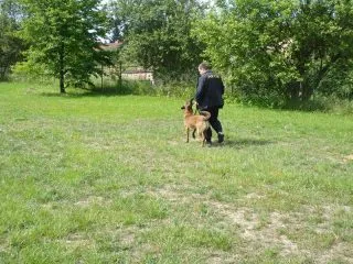 1_DSC05799