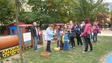 IMG_2604