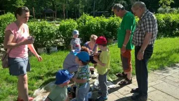 IMG-20170525-WA0006