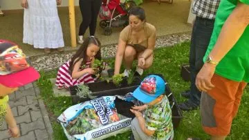 IMG-20170525-WA0016
