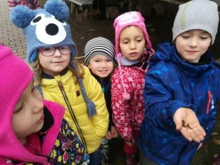 IMG_20161125_113422_1
