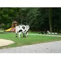 Foto3