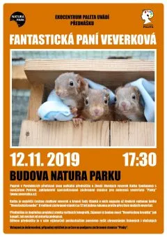 veverky