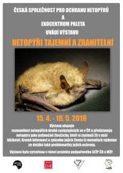 VYSTAVA-NETOPYRI