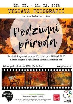 Vystava-k-soutezi