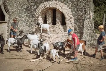 mirakulum_1