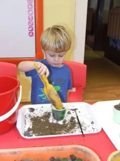 rostliny4