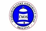 Postavení osobního asistenta ve škole